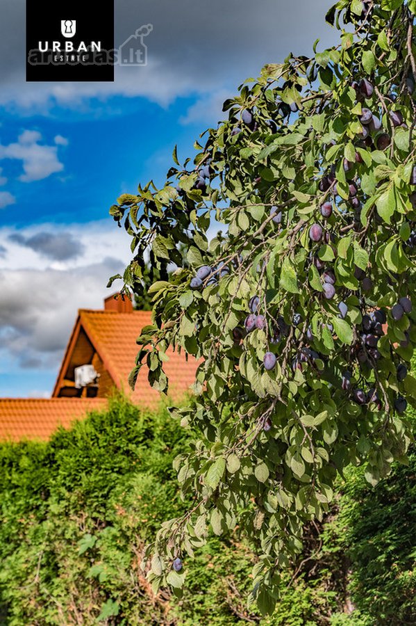 Erdvus Namų Valdos Sklypas Su Gyvenamuoju - nuotraukos Nr. 12