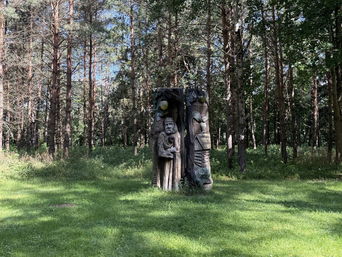 Parduodamas 2,3002 ha komercinės paskirties - nuotraukos Nr. 2