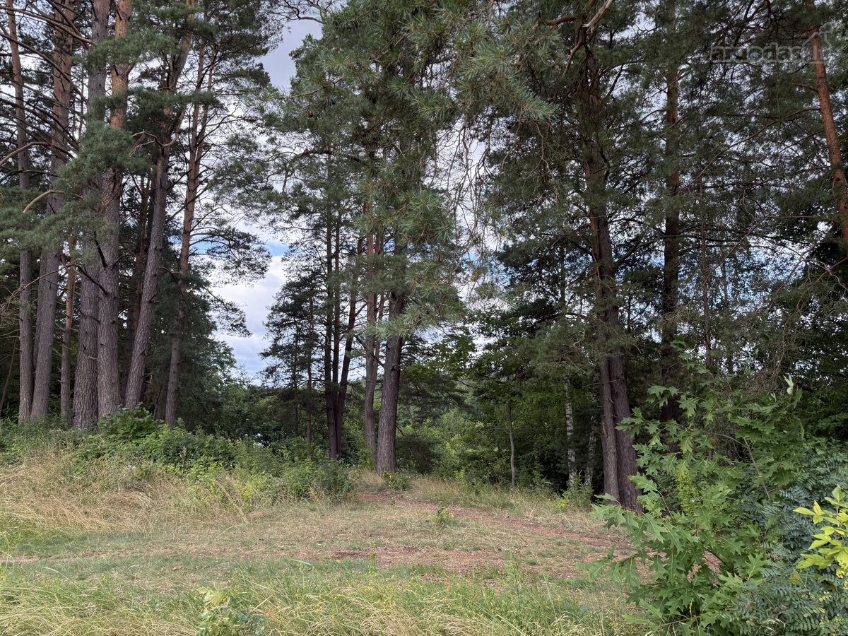 Parduodamas 2,3002 ha komercinės paskirties - nuotraukos Nr. 3