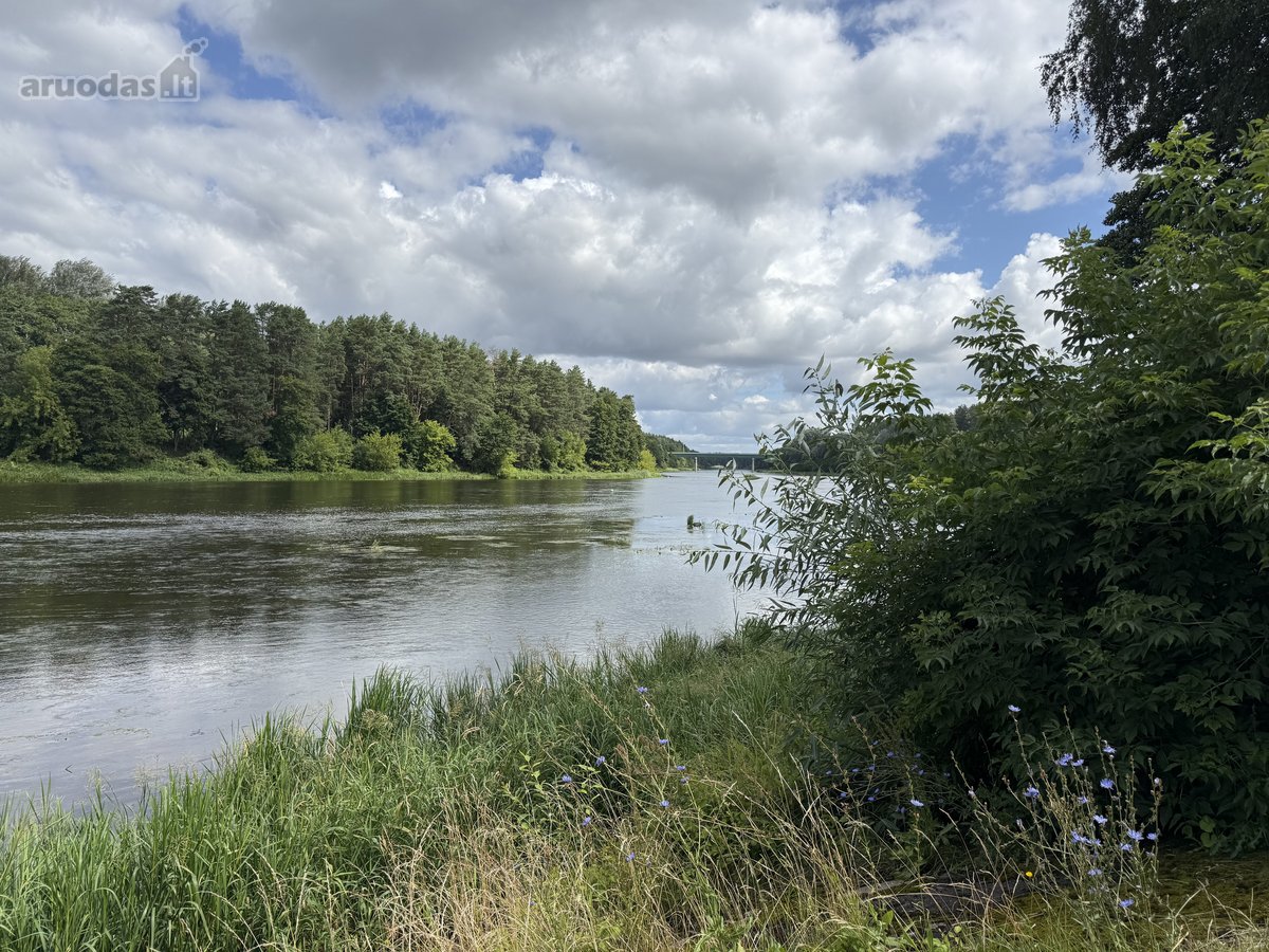 Parduodamas 2,3002 ha komercinės paskirties - nuotraukos Nr. 4