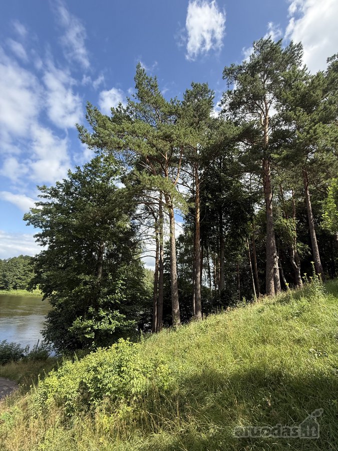 Parduodamas 2,3002 ha komercinės paskirties - nuotraukos Nr. 7