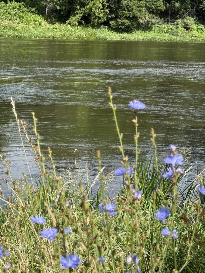 Parduodamas 2,3002 ha komercinės paskirties - nuotraukos Nr. 5
