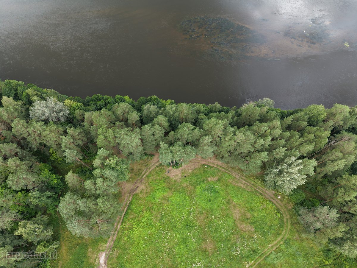 Parduodamas 2,3002 ha komercinės paskirties - nuotraukos Nr. 9
