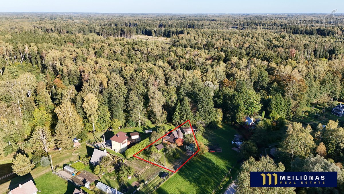 Parduodamas Jaukus Sodo Namas Papilvio K., - nuotraukos Nr. 2