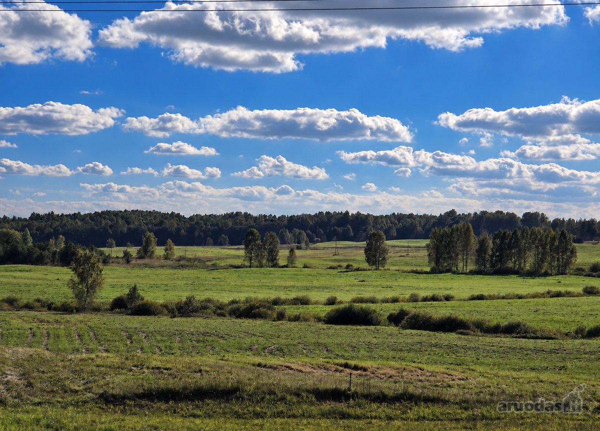 Parduodamas 8,85 ha žemės sklypas šalia - nuotraukos Nr. 2