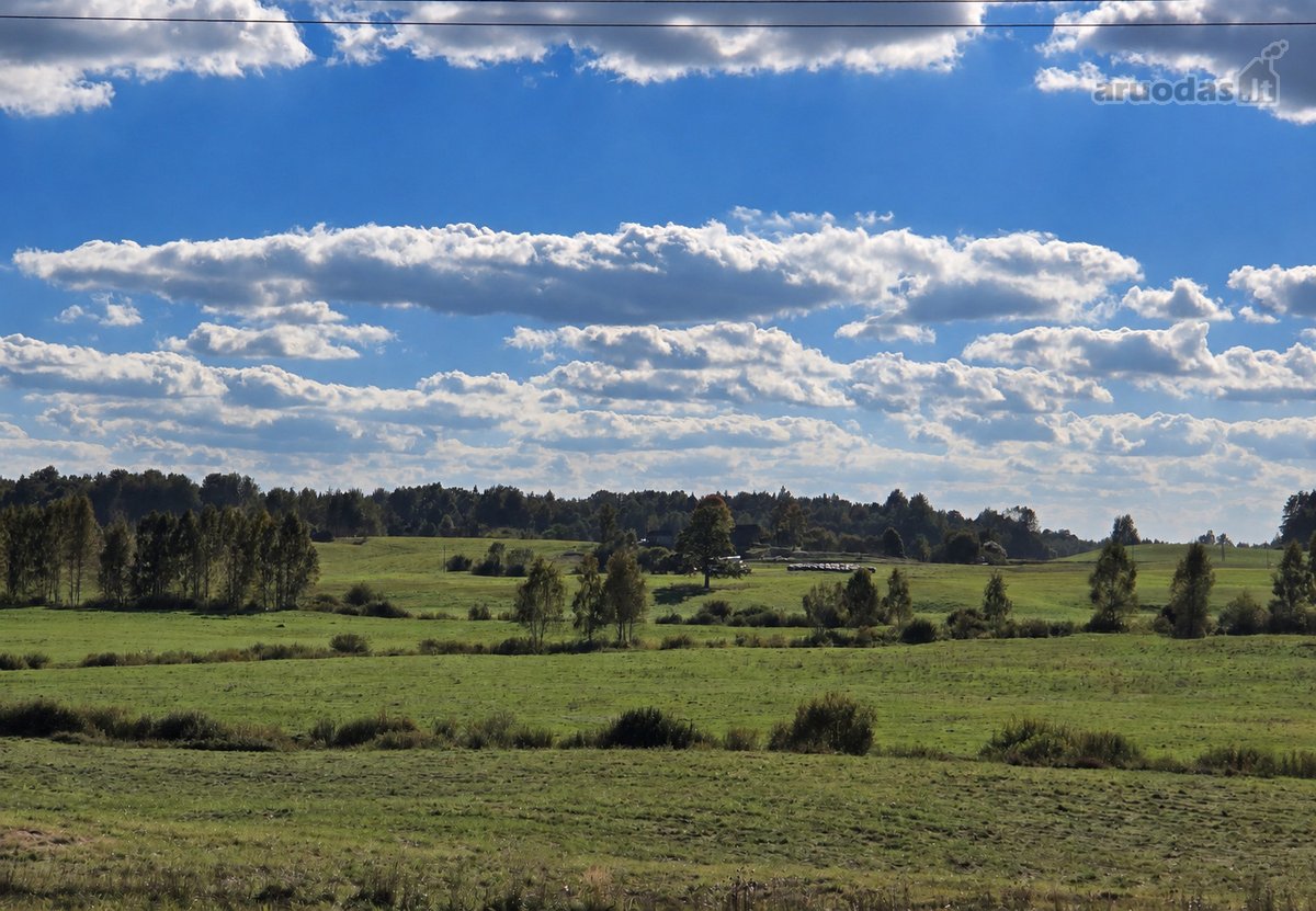 Parduodamas 8,85 ha žemės sklypas šalia - nuotraukos Nr. 3