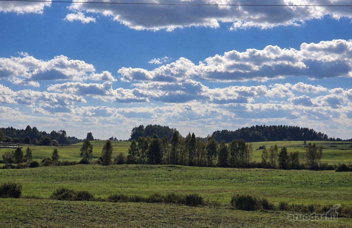 Parduodamas 8,85 ha žemės sklypas šalia - nuotraukos Nr. 5