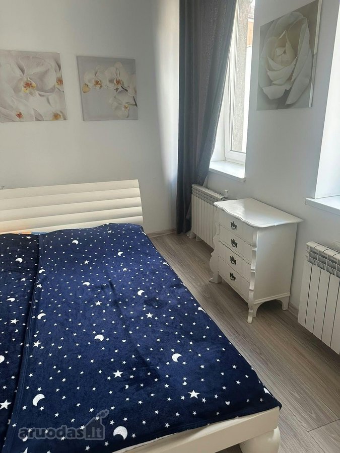 Išnuomojamas 2 kambarių butas su atskira - nuotraukos Nr. 10