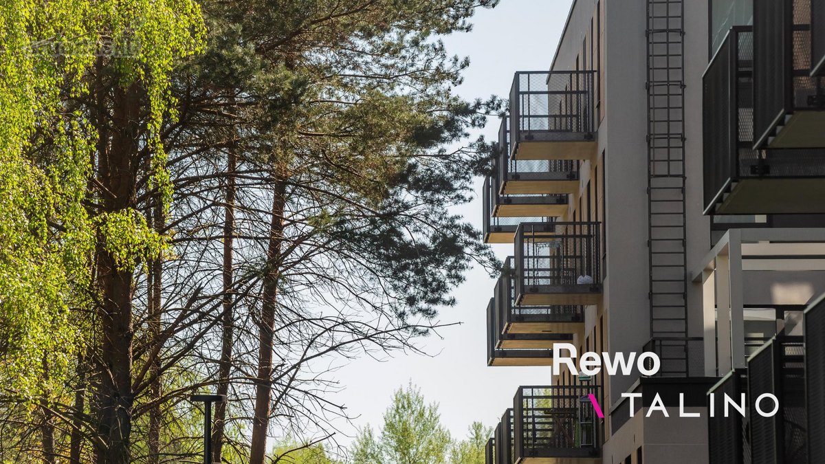 Rewo  Talino - Butų Projektas Justiniškėse – - nuotraukos Nr. 34
