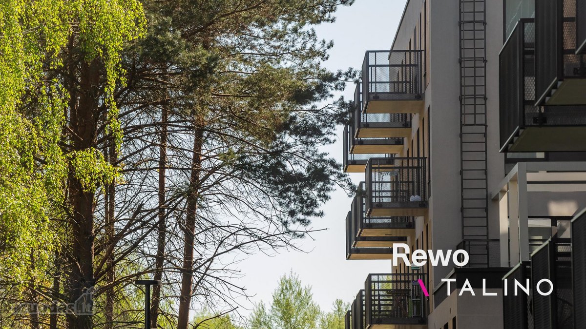 Rewo  Talino - Butų Projektas Justiniškėse – - nuotraukos Nr. 34