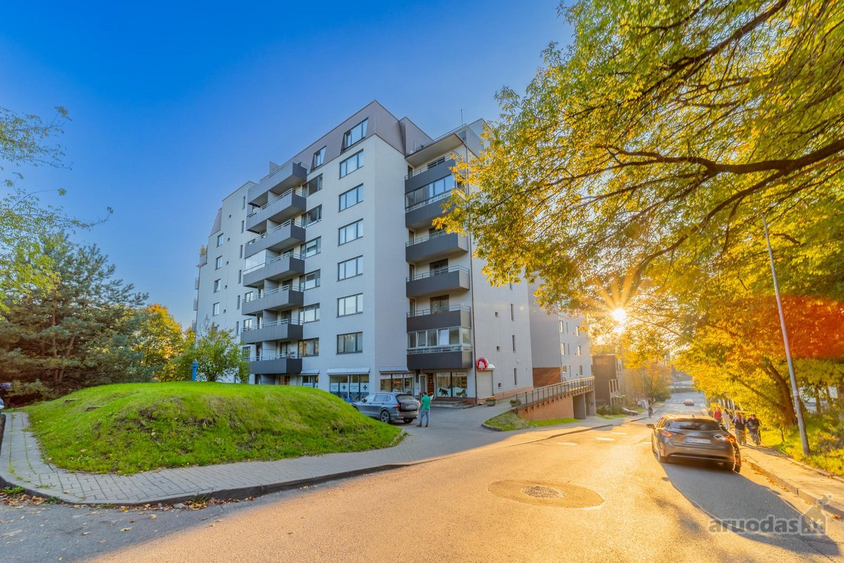 Nuomojamas Šviesus Ir Erdvus 2 Kambarių Butas - nuotraukos Nr. 27