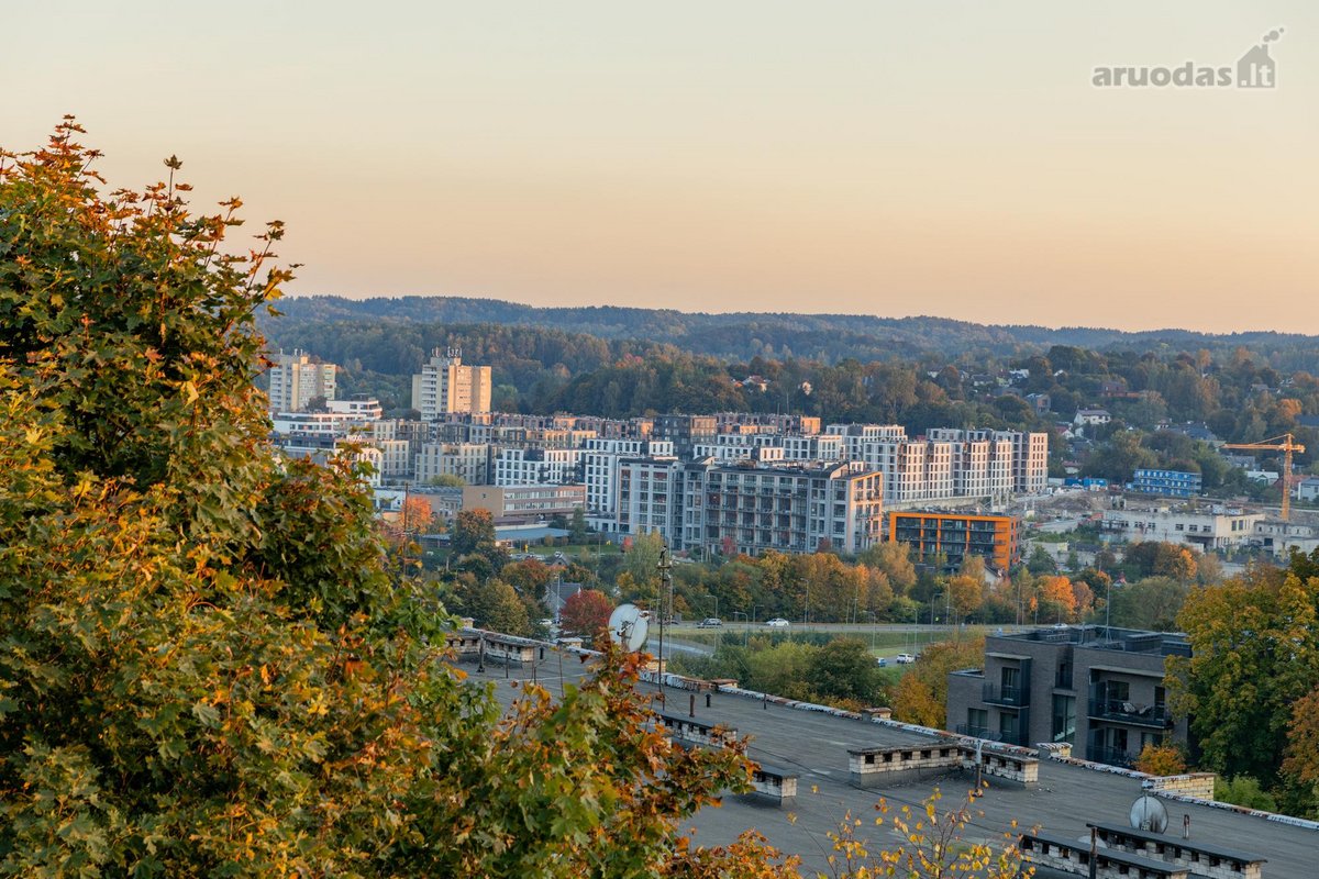 Nuomojamas Šviesus Ir Erdvus 2 Kambarių Butas - nuotraukos Nr. 31
