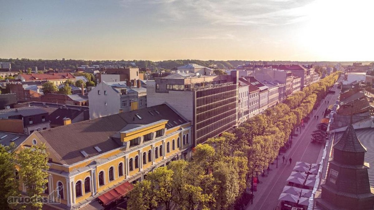 Parduodamas Investicinis Objektas Laisvės - nuotraukos Nr. 2