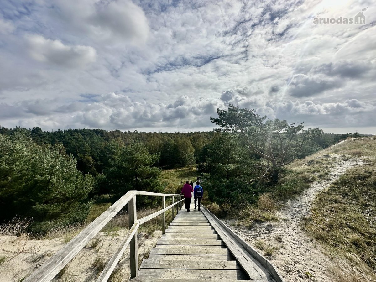 Poilsio erdvė pušų apsuptyje, visai šalia - nuotraukos Nr. 23