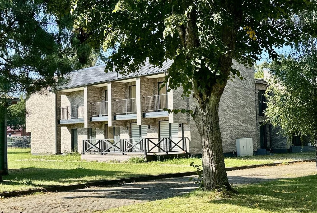 Poilsio erdvė pušų apsuptyje, visai šalia - nuotraukos Nr. 11