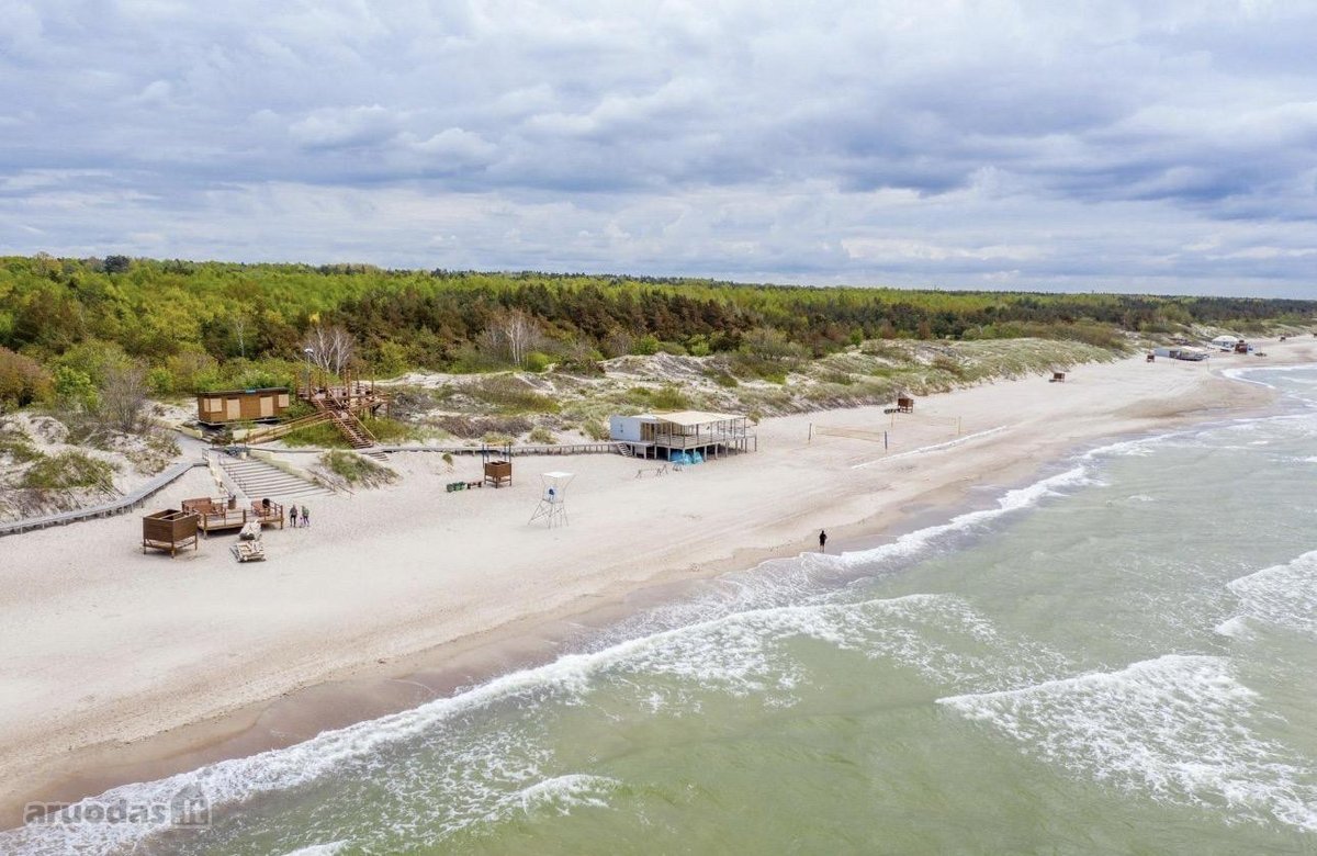 Poilsio erdvė pušų apsuptyje, visai šalia - nuotraukos Nr. 16