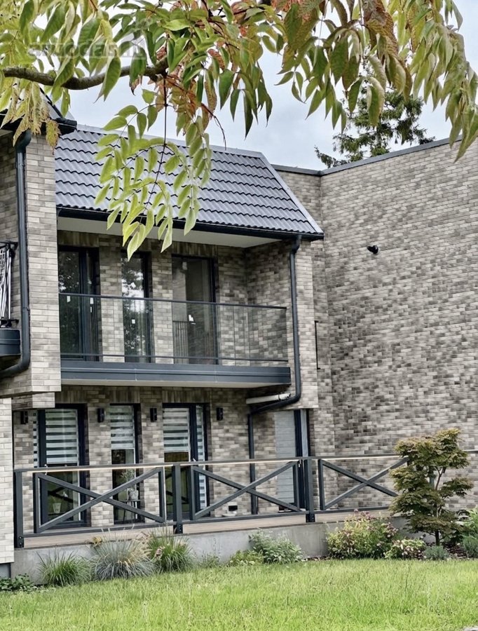 Poilsio erdvė pušų apsuptyje, visai šalia - nuotraukos Nr. 20