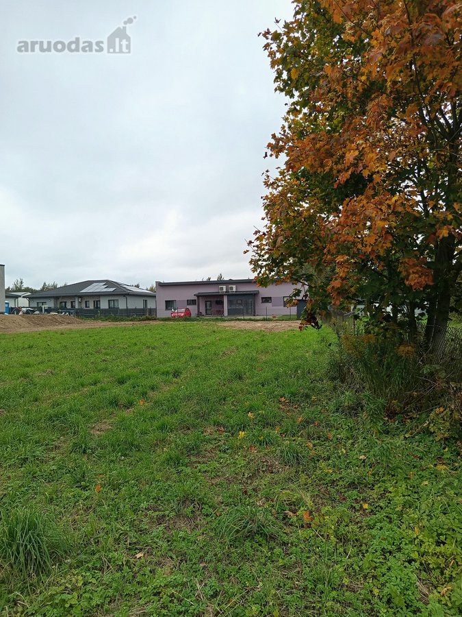 Vilniuje, Pavilnyje, Valdemaro Čarneckio g. - nuotraukos Nr. 6