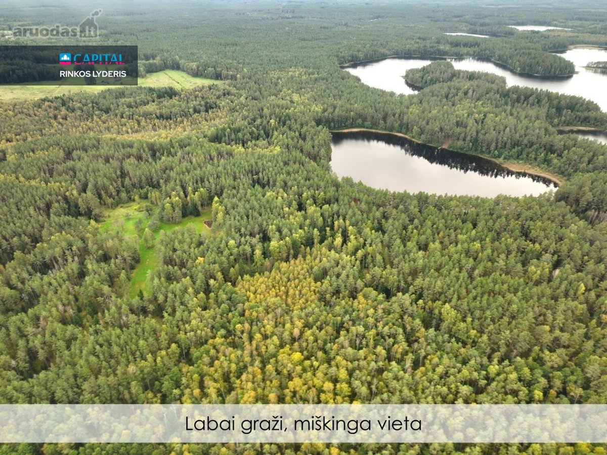 Parduodami 6.1 Ha Sklypai Su Ežero Pakrante - nuotraukos Nr. 3