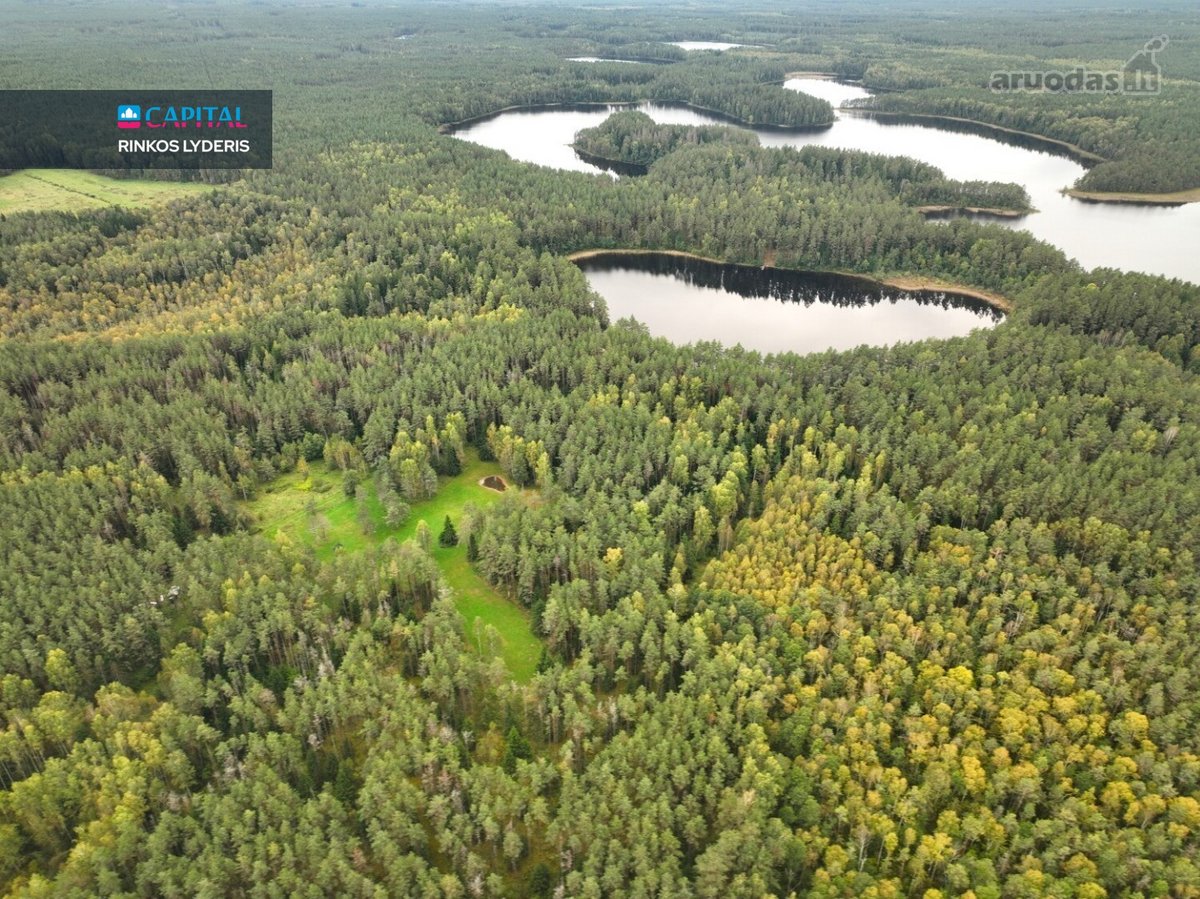 Parduodami 6.1 Ha Sklypai Su Ežero Pakrante - nuotraukos Nr. 8