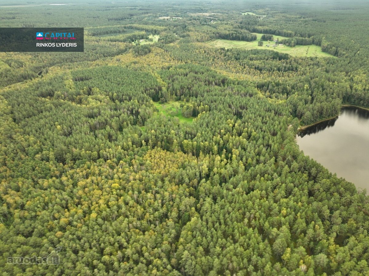 Parduodami 6.1 Ha Sklypai Su Ežero Pakrante - nuotraukos Nr. 9