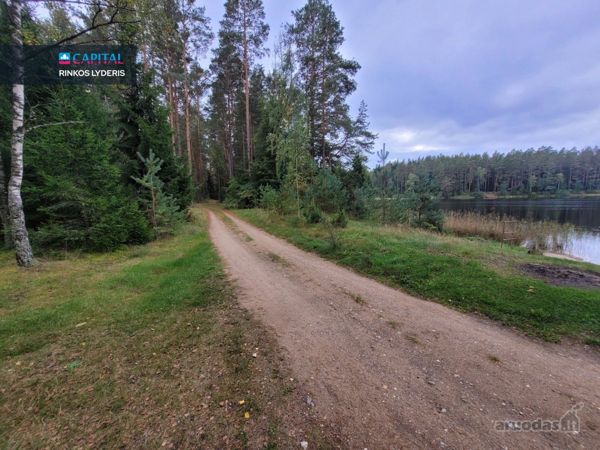 Parduodami 6.1 Ha Sklypai Su Ežero Pakrante - nuotraukos Nr. 13