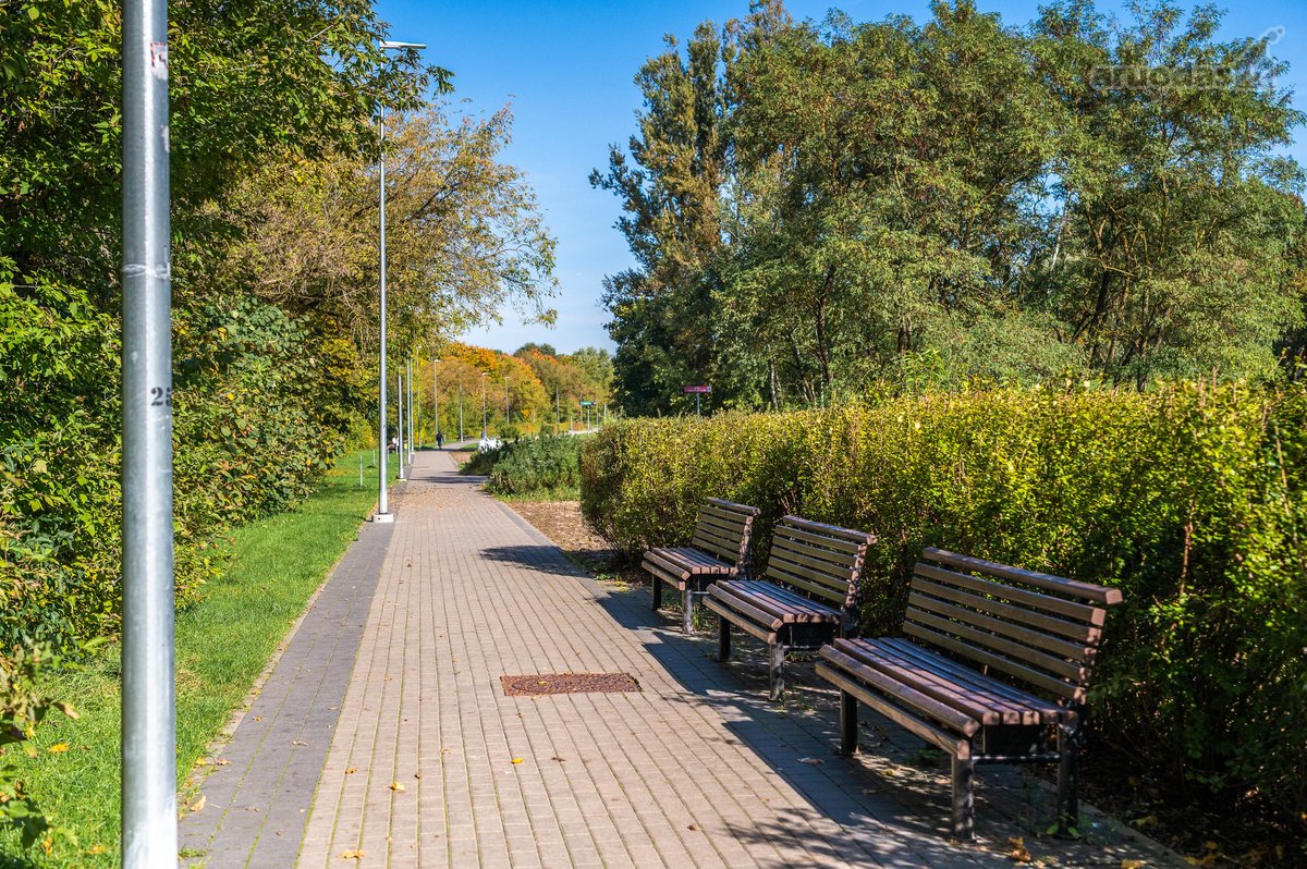 Antakalnyje, viename iš labiausiai vertinamų - nuotraukos Nr. 29