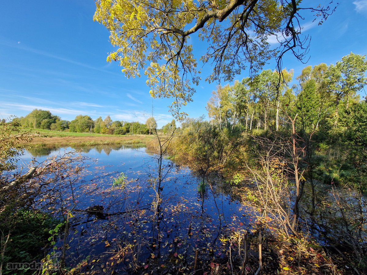 Vos 5 Km Nuo Utenos Miesto, Antakalnių Kaime, - nuotraukos Nr. 12