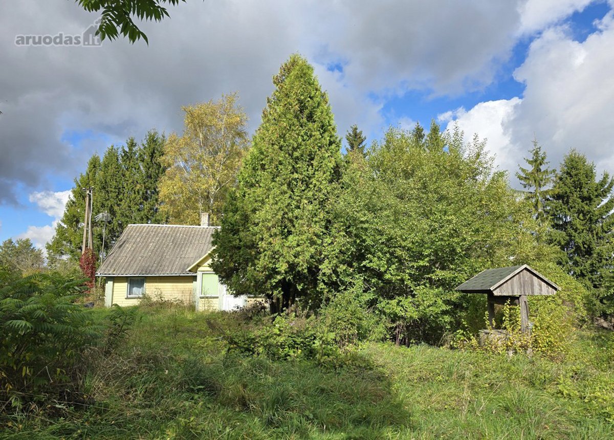 Parduodamas jaukus vienkiemis medžių, kalvų - nuotraukos Nr. 5