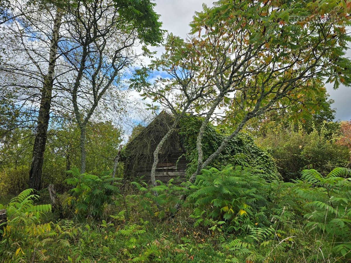 Parduodamas jaukus vienkiemis medžių, kalvų - nuotraukos Nr. 7