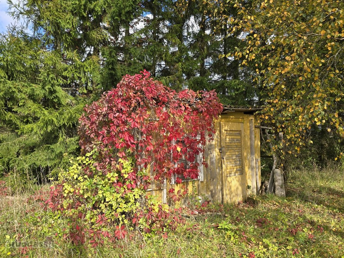 Parduodamas jaukus vienkiemis medžių, kalvų - nuotraukos Nr. 9
