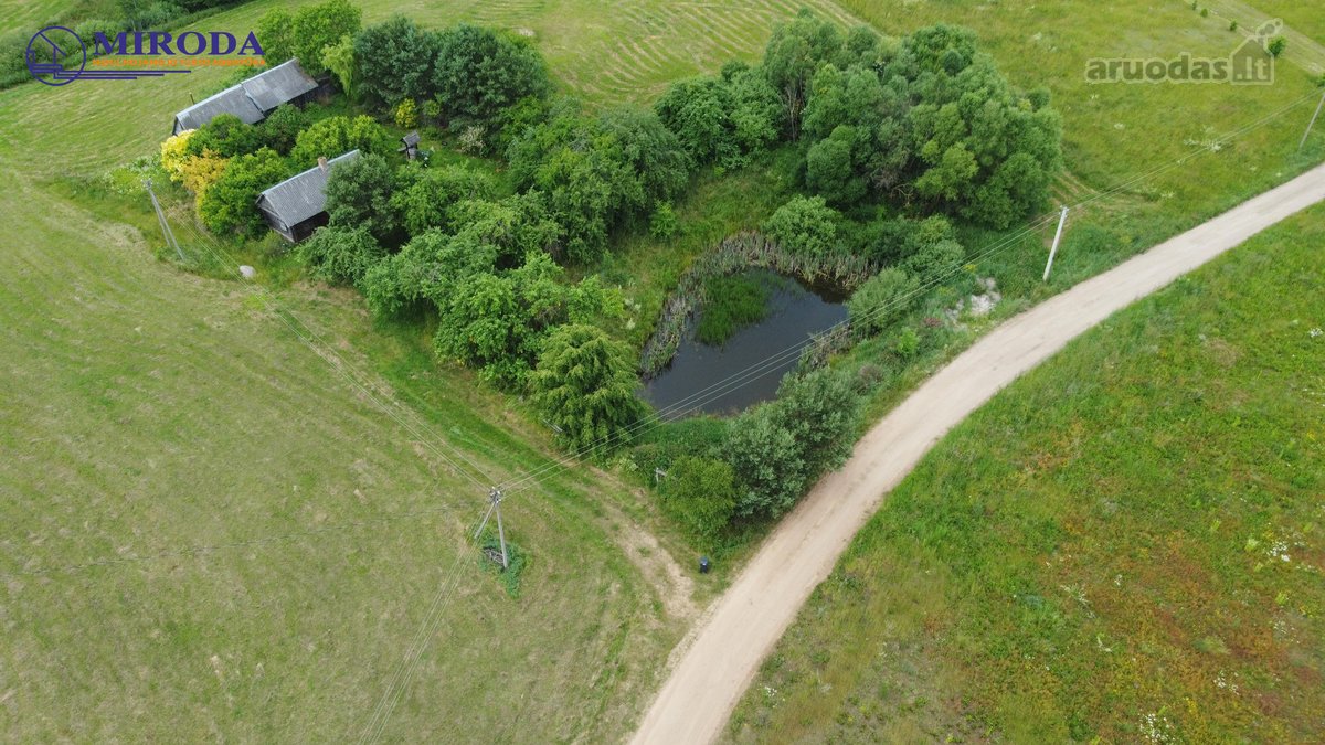 Parduodama sodyba - vienkiemis, vos 500m. iki - nuotraukos Nr. 7
