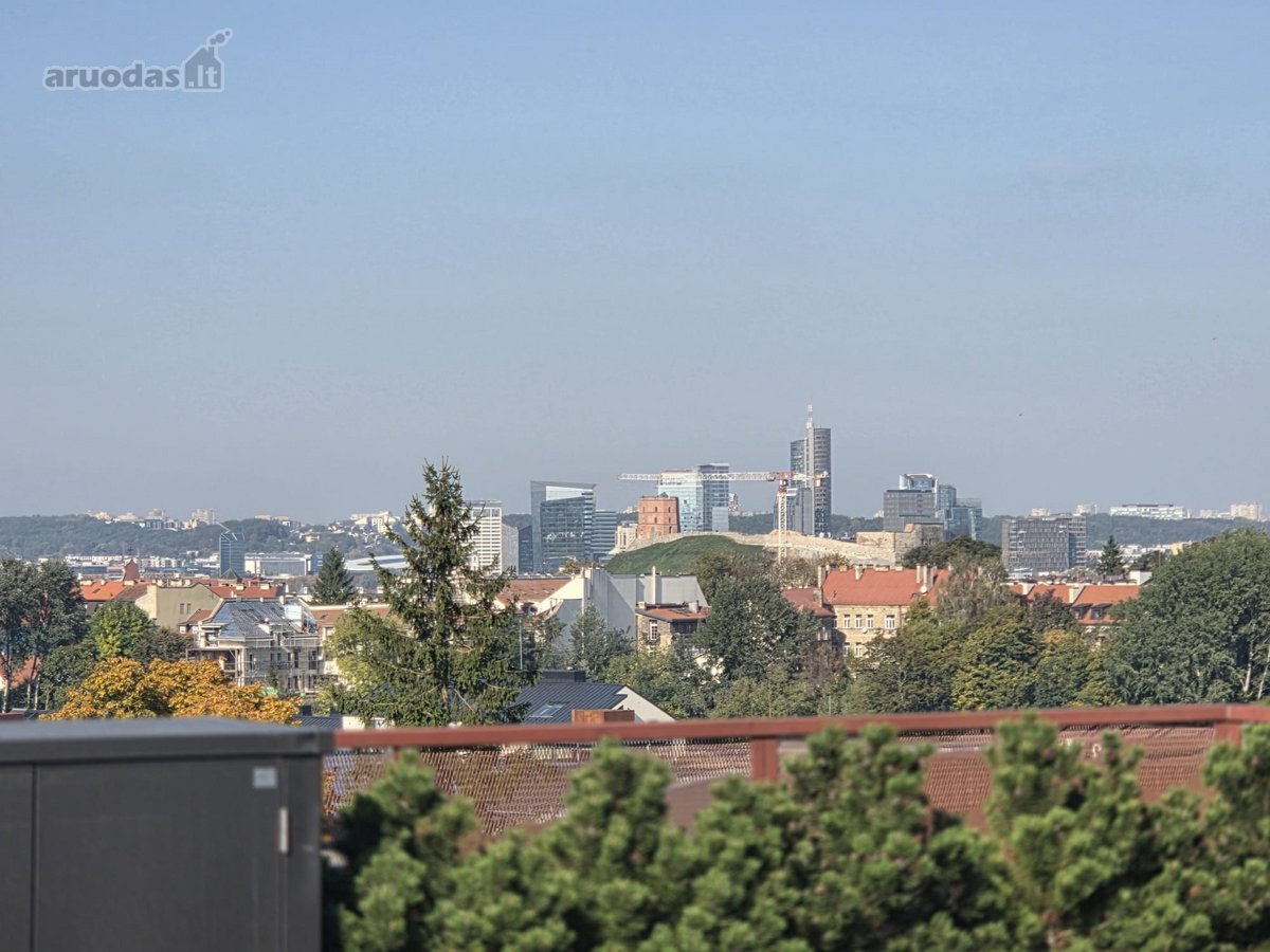 Išskirtinės Komercinės Patalpos Su Terasa Ir - nuotraukos Nr. 29