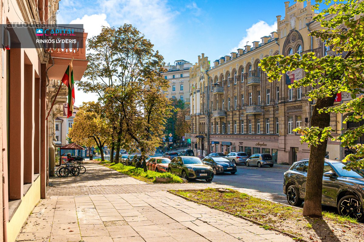 Pačioje Vilniaus Širdyje J. Basanavičiaus - nuotraukos Nr. 29