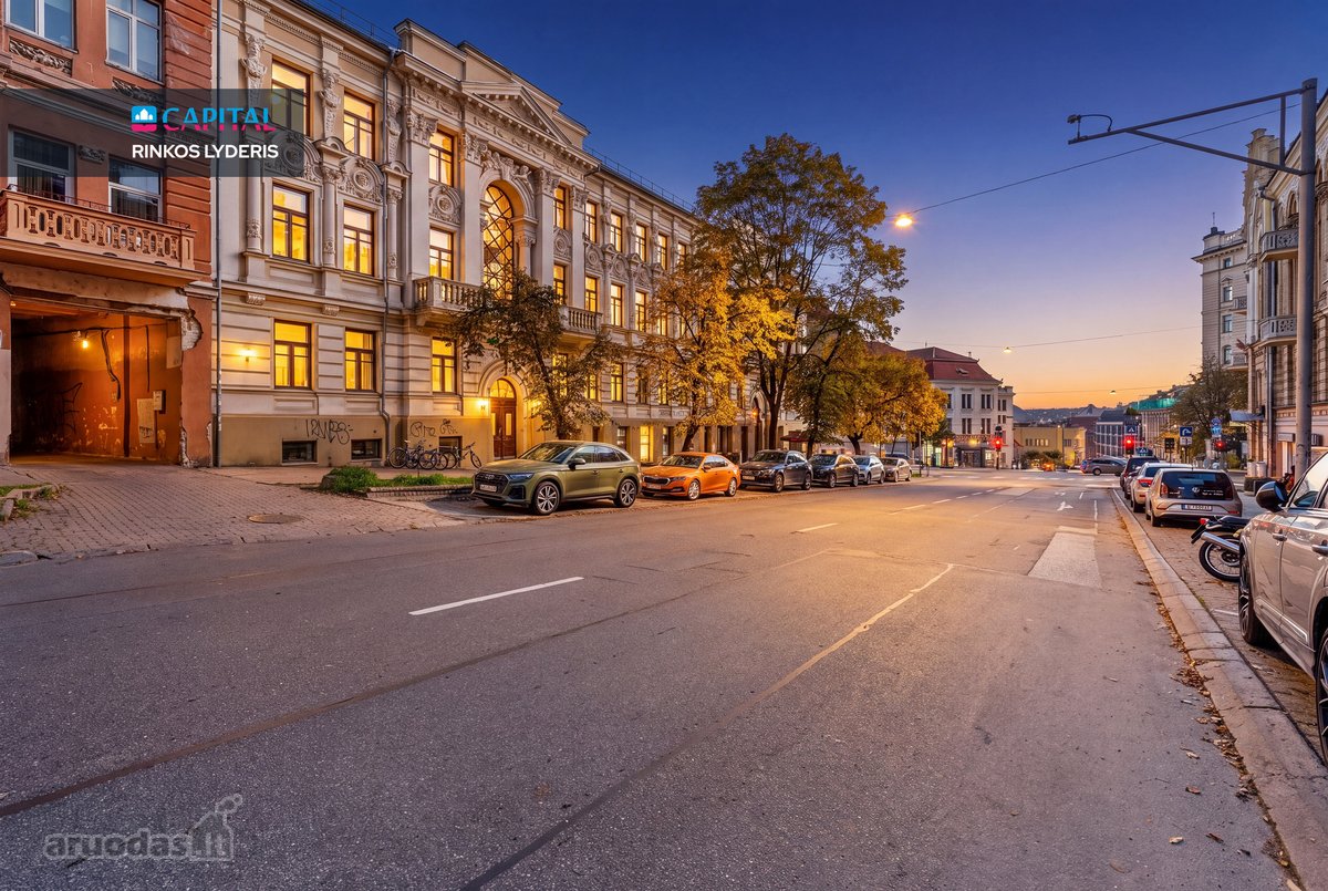 Pačioje Vilniaus Širdyje J. Basanavičiaus - nuotraukos Nr. 30