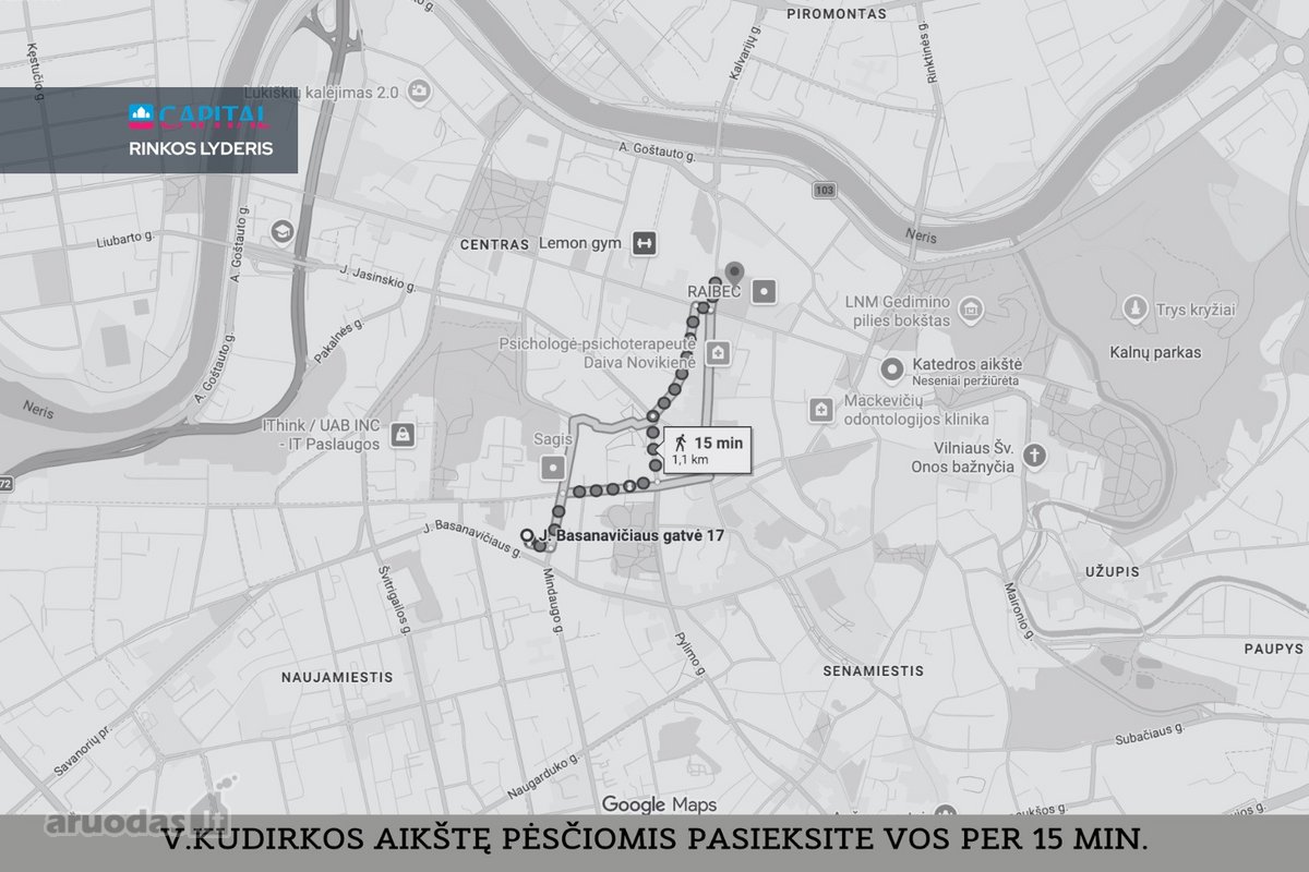 Pačioje Vilniaus Širdyje J. Basanavičiaus - nuotraukos Nr. 33