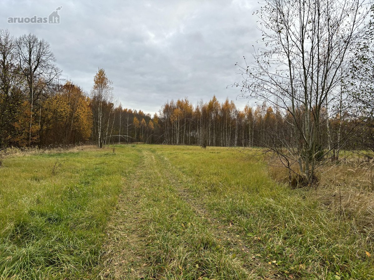Parduodamas 17,56 žemės ūkio paskirties sklypas: - nuotraukos Nr. 5
