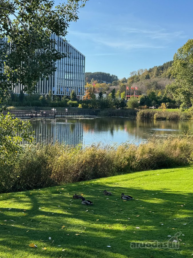 Parduodama tiesiogiai, be brokerių pagalbos – - nuotraukos Nr. 27