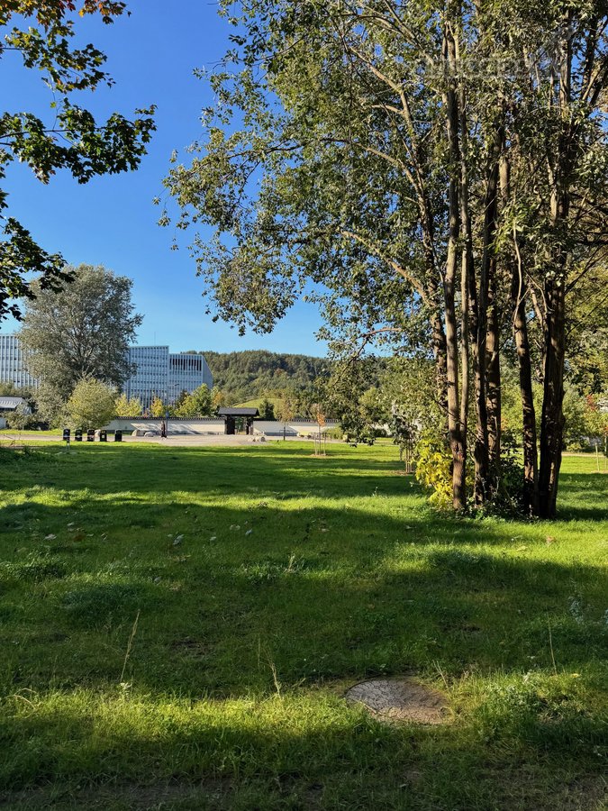 Parduodama tiesiogiai, be brokerių pagalbos – - nuotraukos Nr. 29