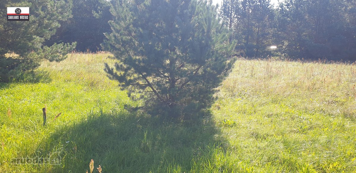 Parduodamas labai gražioje vietoje 15 a žemės - nuotraukos Nr. 20