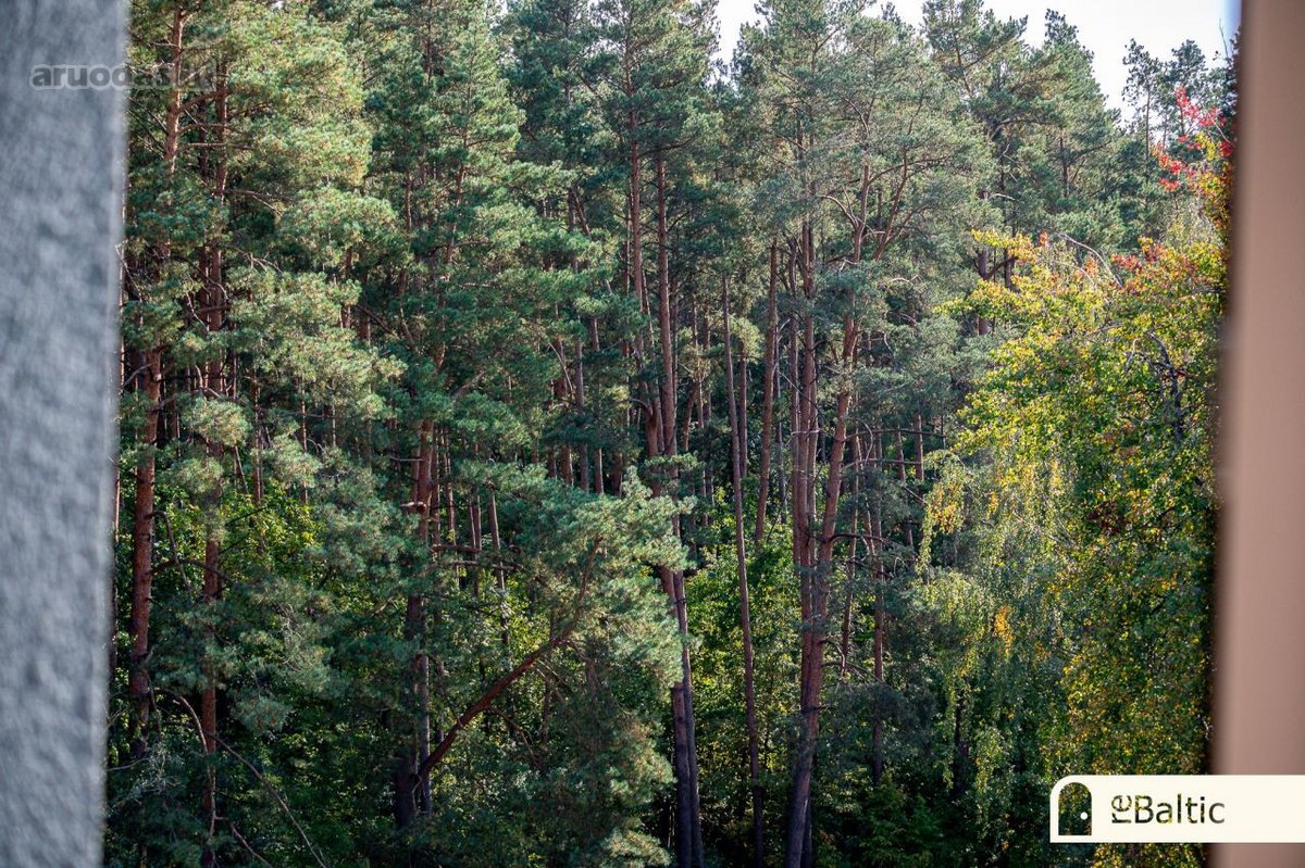 Parduodamas erdvus, saulės ir - nuotraukos Nr. 4