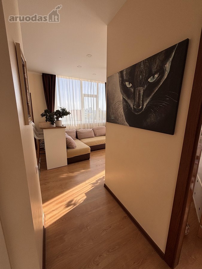Parduodamas 3 Kambarių Butas Su Privačia 21 - nuotraukos Nr. 8
