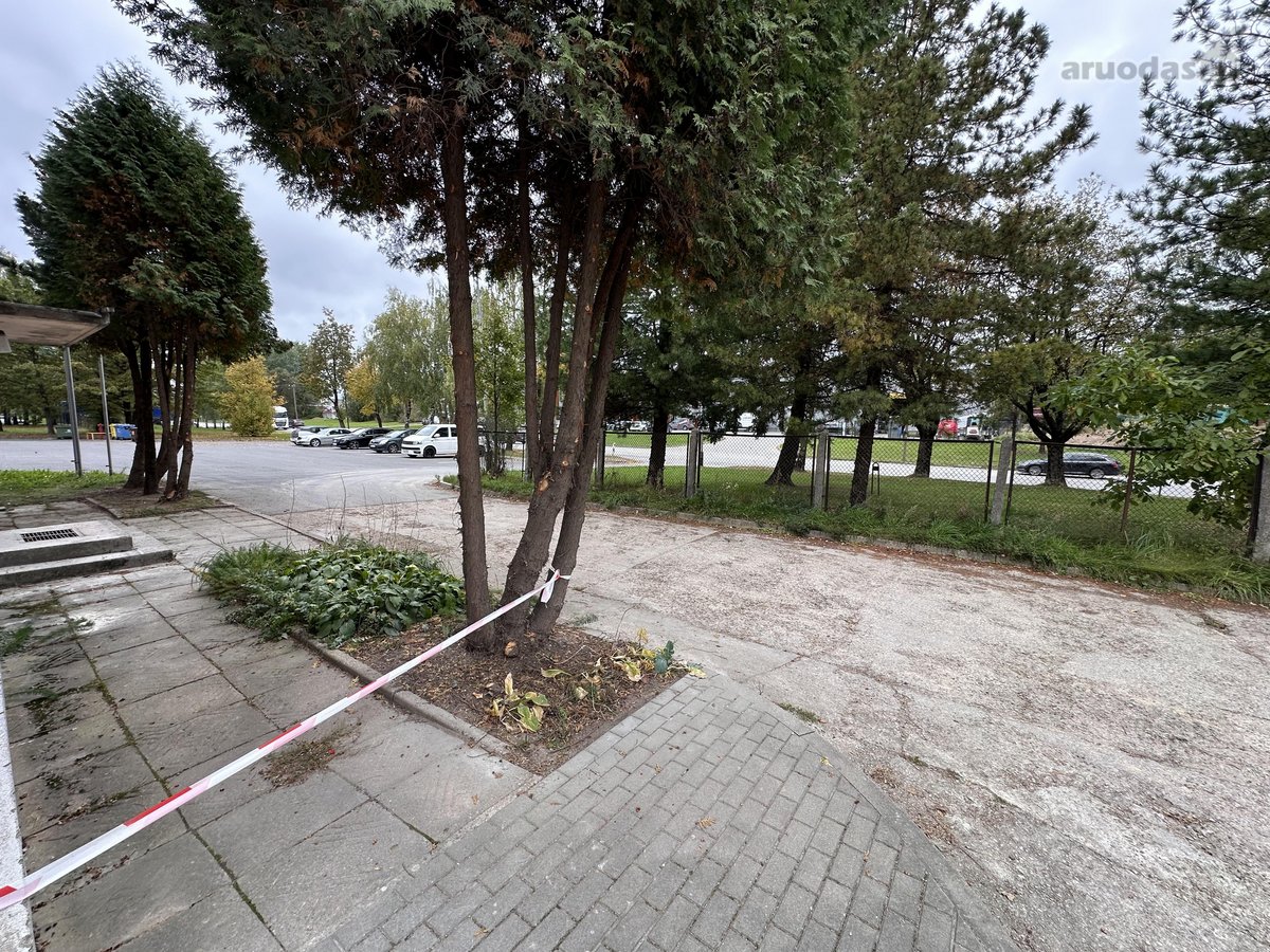 ? Parduodamos patalpos arba visas pirmas - nuotraukos Nr. 14
