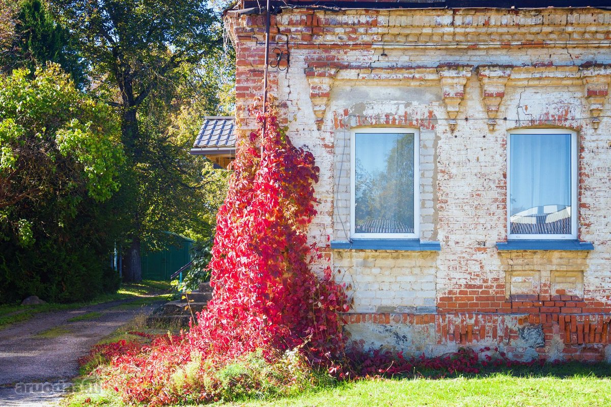 Parduodamas 3 kambarių butas Švenčionių - nuotraukos Nr. 41