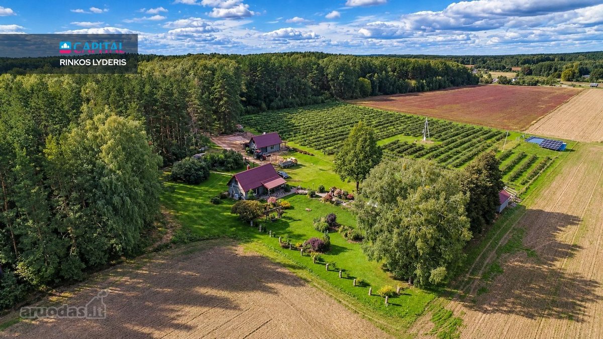 Sodyba, Kur Gamta, Ramybė Ir Jau Veikiantis - nuotraukos Nr. 44