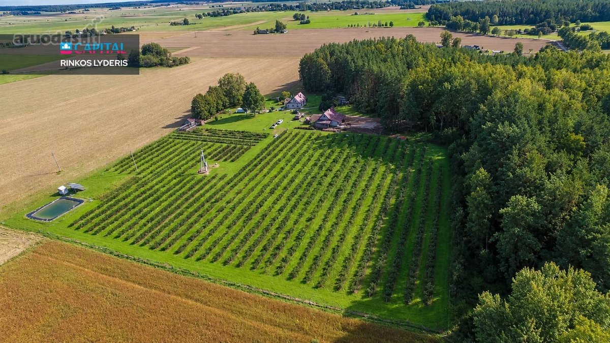 Sodyba, Kur Gamta, Ramybė Ir Jau Veikiantis - nuotraukos Nr. 49