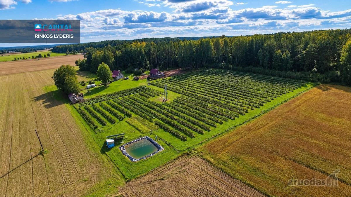Sodyba, Kur Gamta, Ramybė Ir Jau Veikiantis - nuotraukos Nr. 50