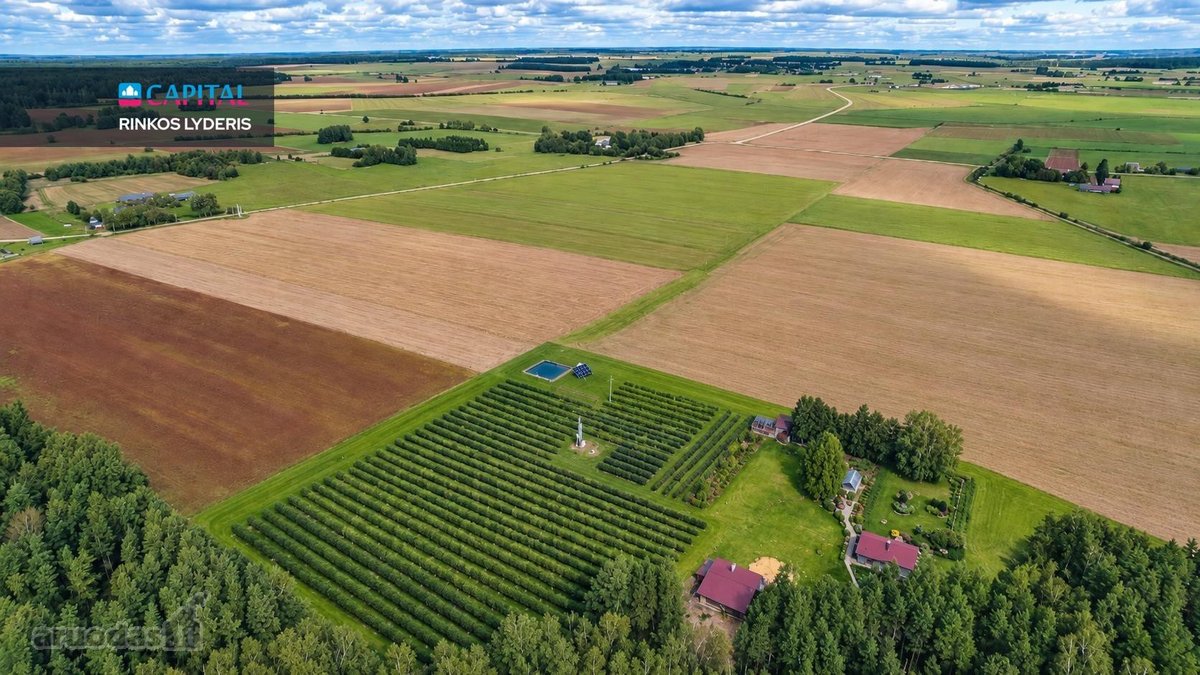 Sodyba, Kur Gamta, Ramybė Ir Jau Veikiantis - nuotraukos Nr. 51