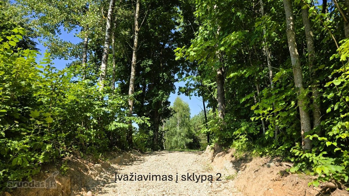 Parduodami 4 Namų Valdos Paskirties Žemės - nuotraukos Nr. 13