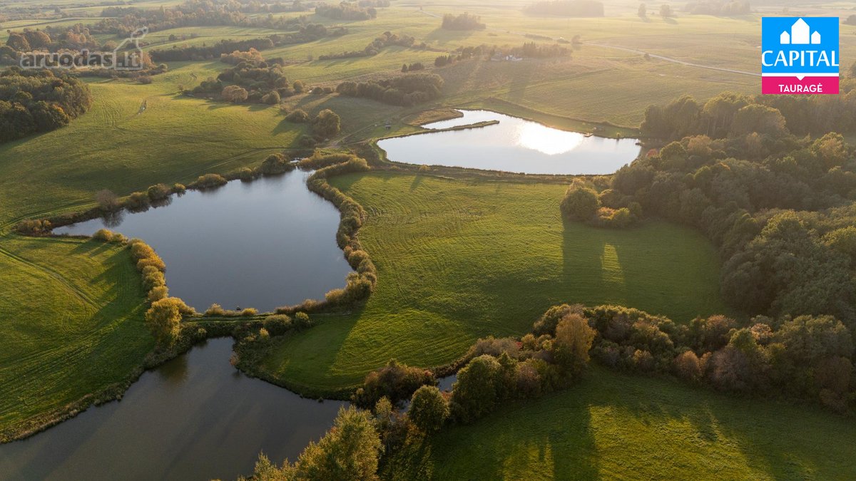 Parduodamas 11,2736 Ha Sklypas Burbiškių K. - nuotraukos Nr. 13